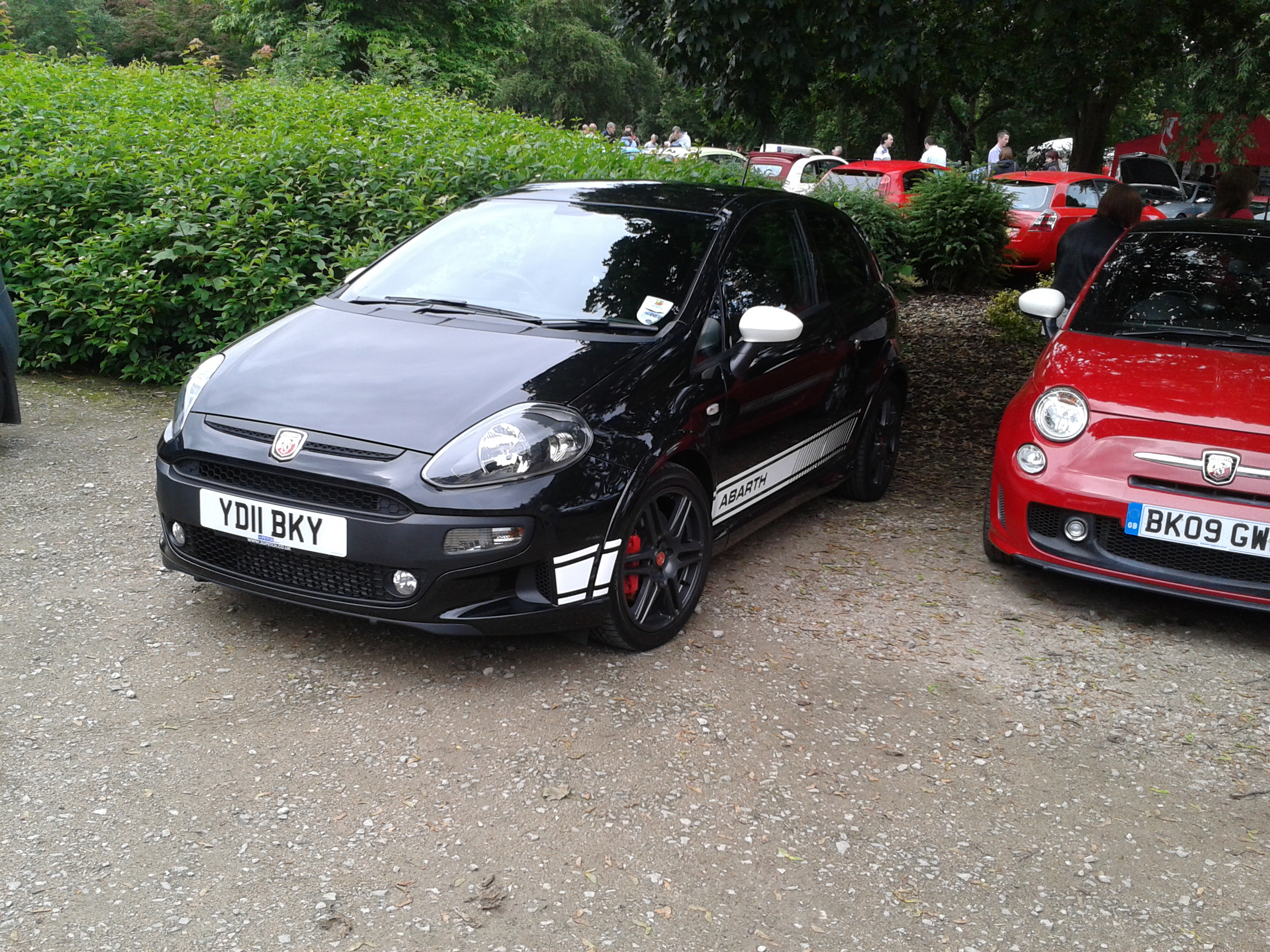 MITCAR12