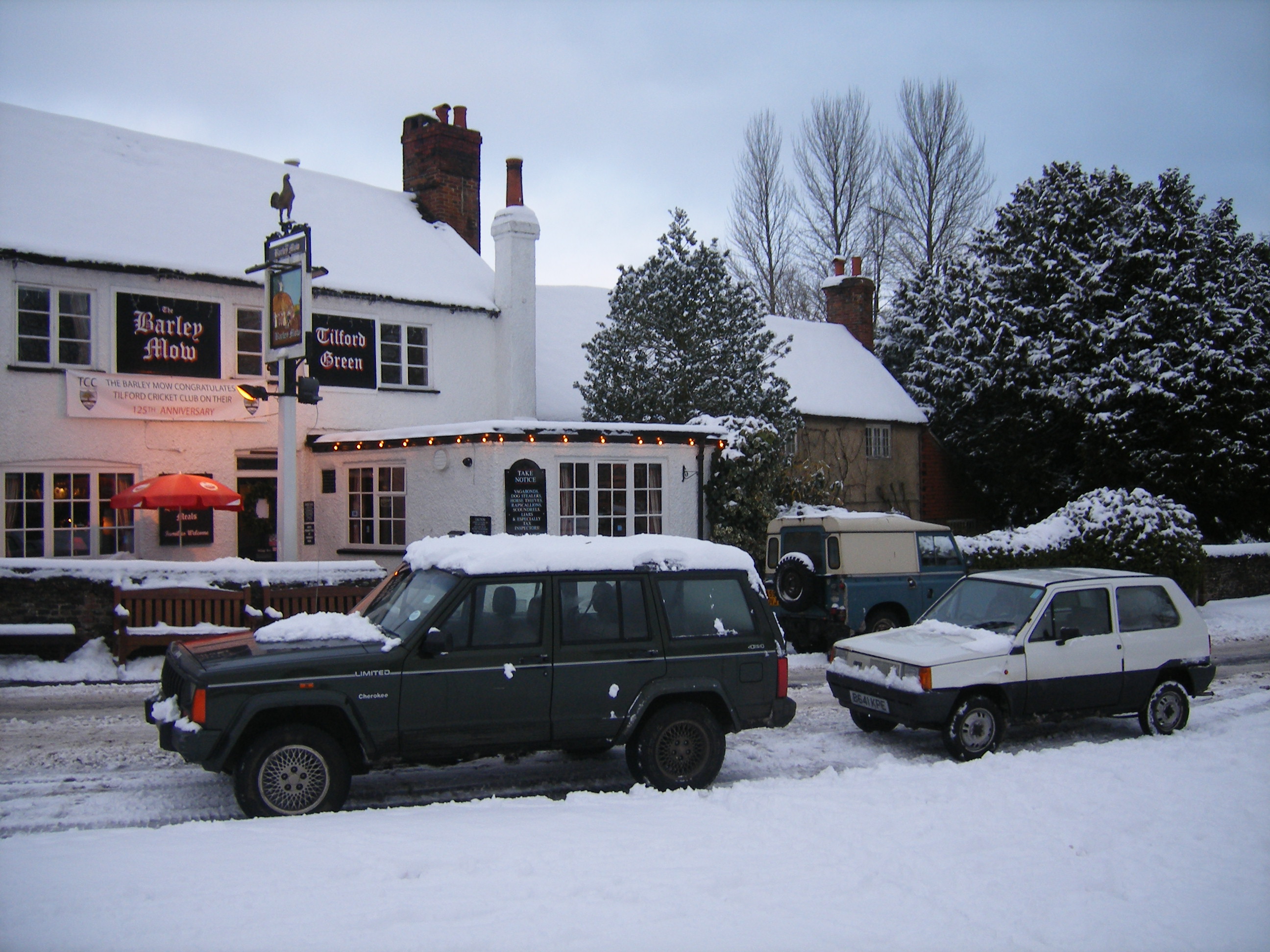 MK1 Panda in the snow