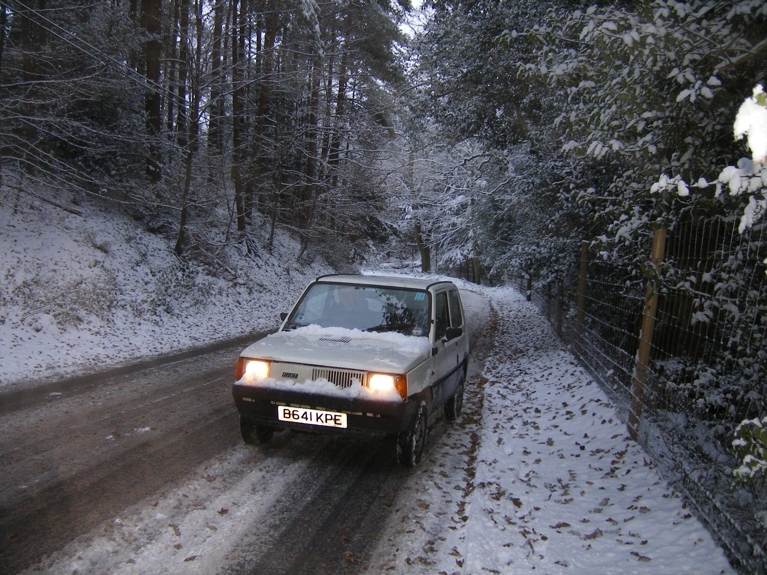MK1 Panda in the snow