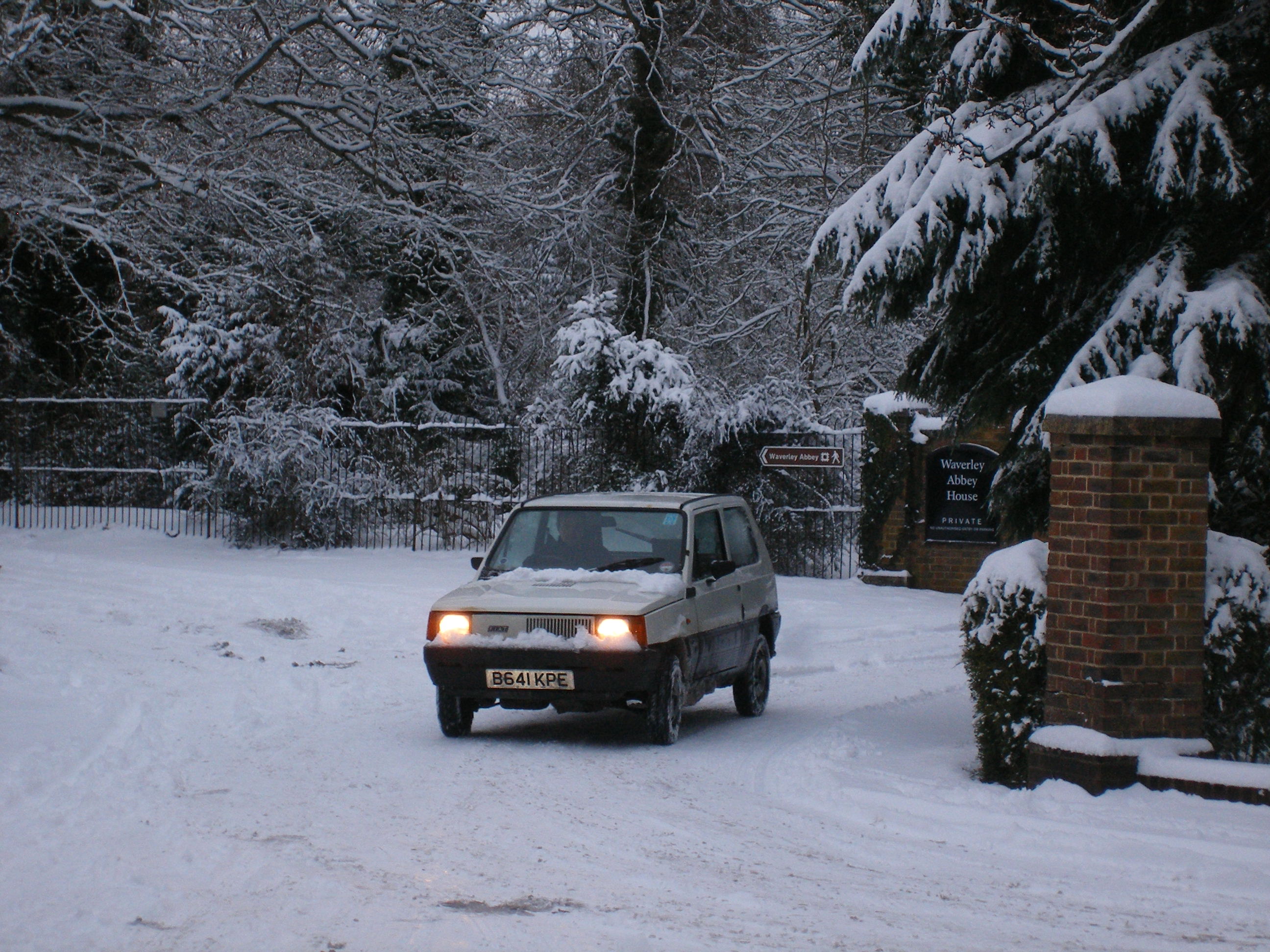 MK1 Panda in the snow