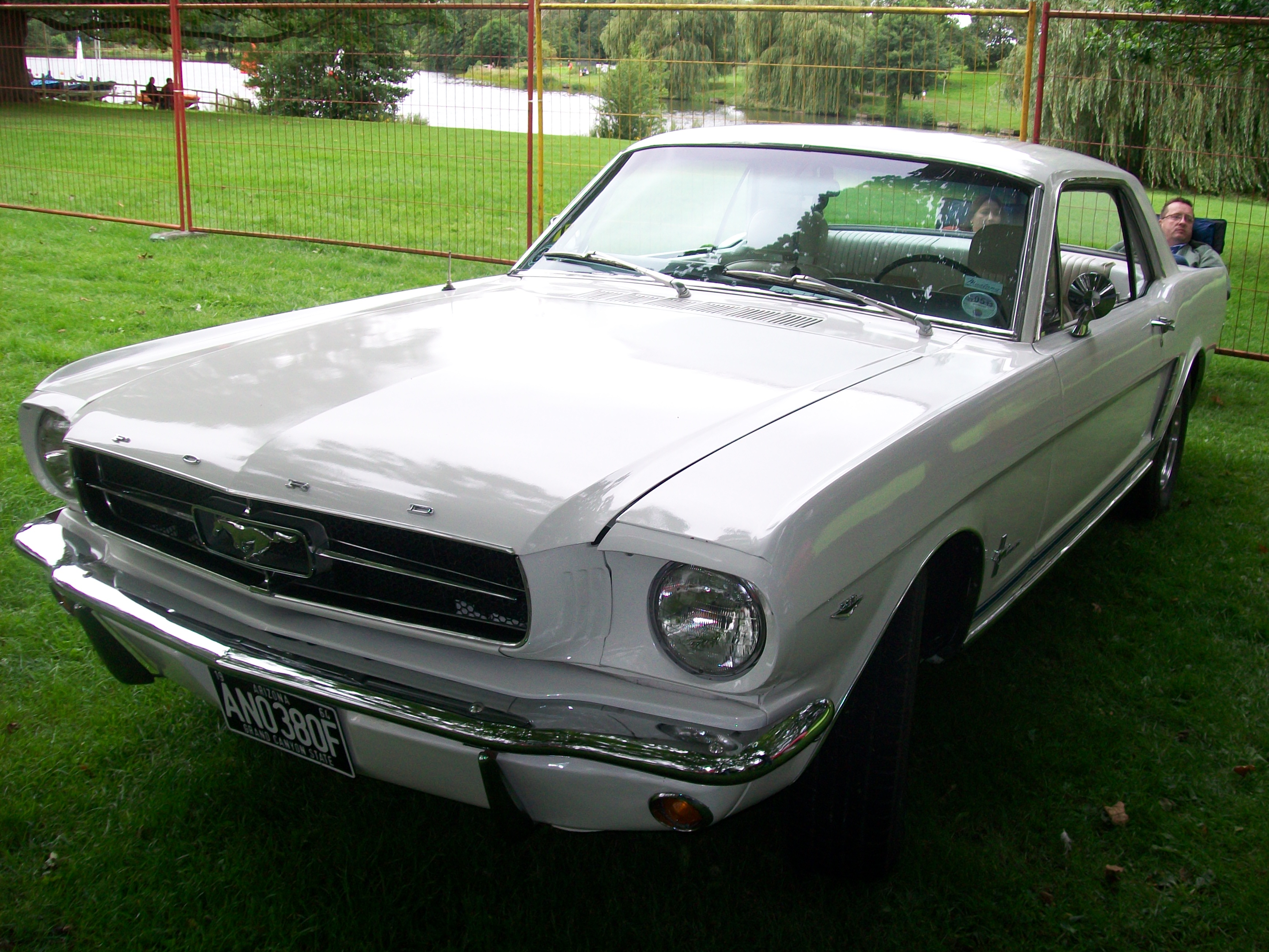 Mustang