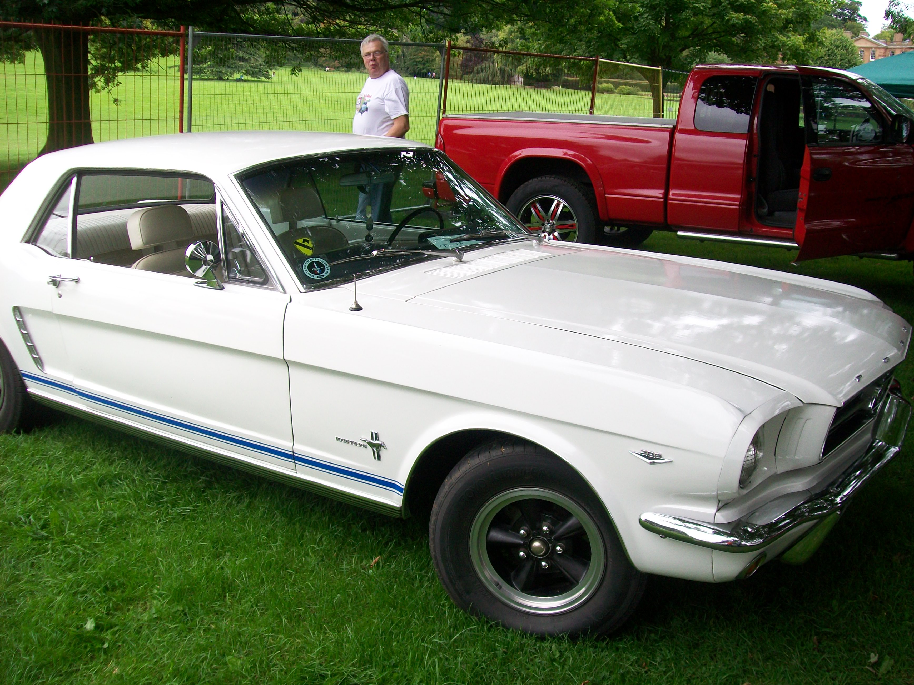 Mustang