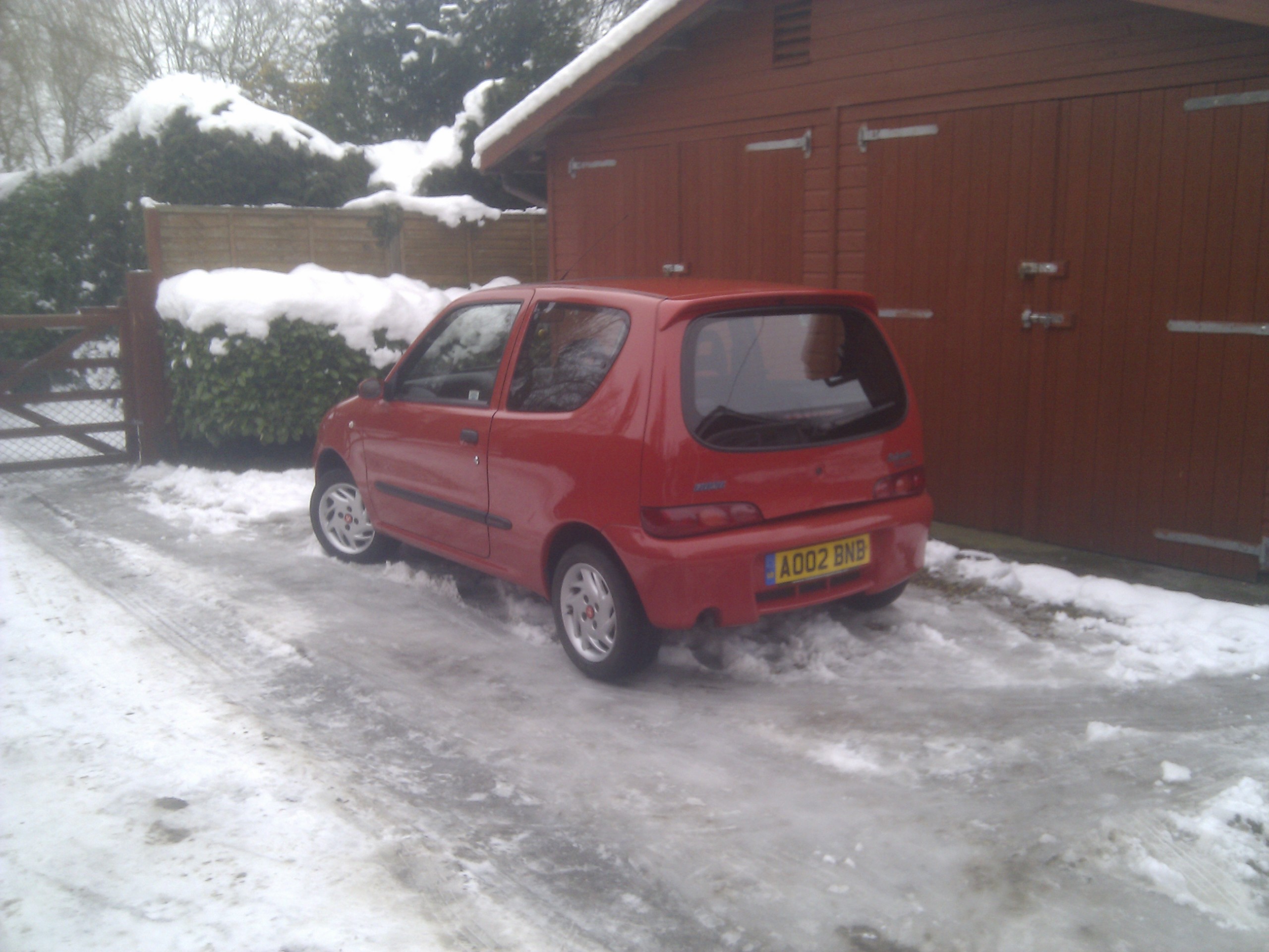 My Little Red Sei