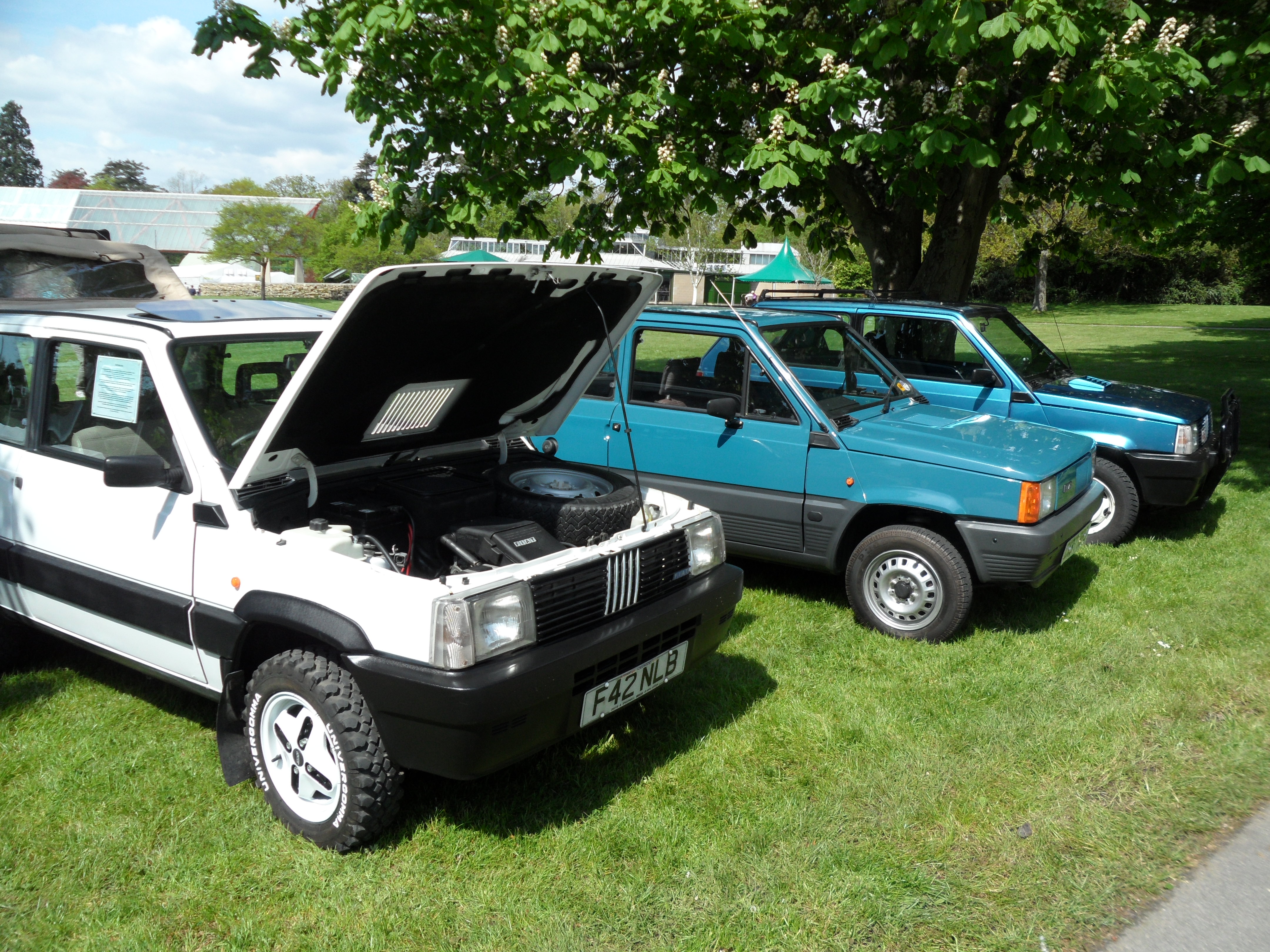 my Panda 4x4
