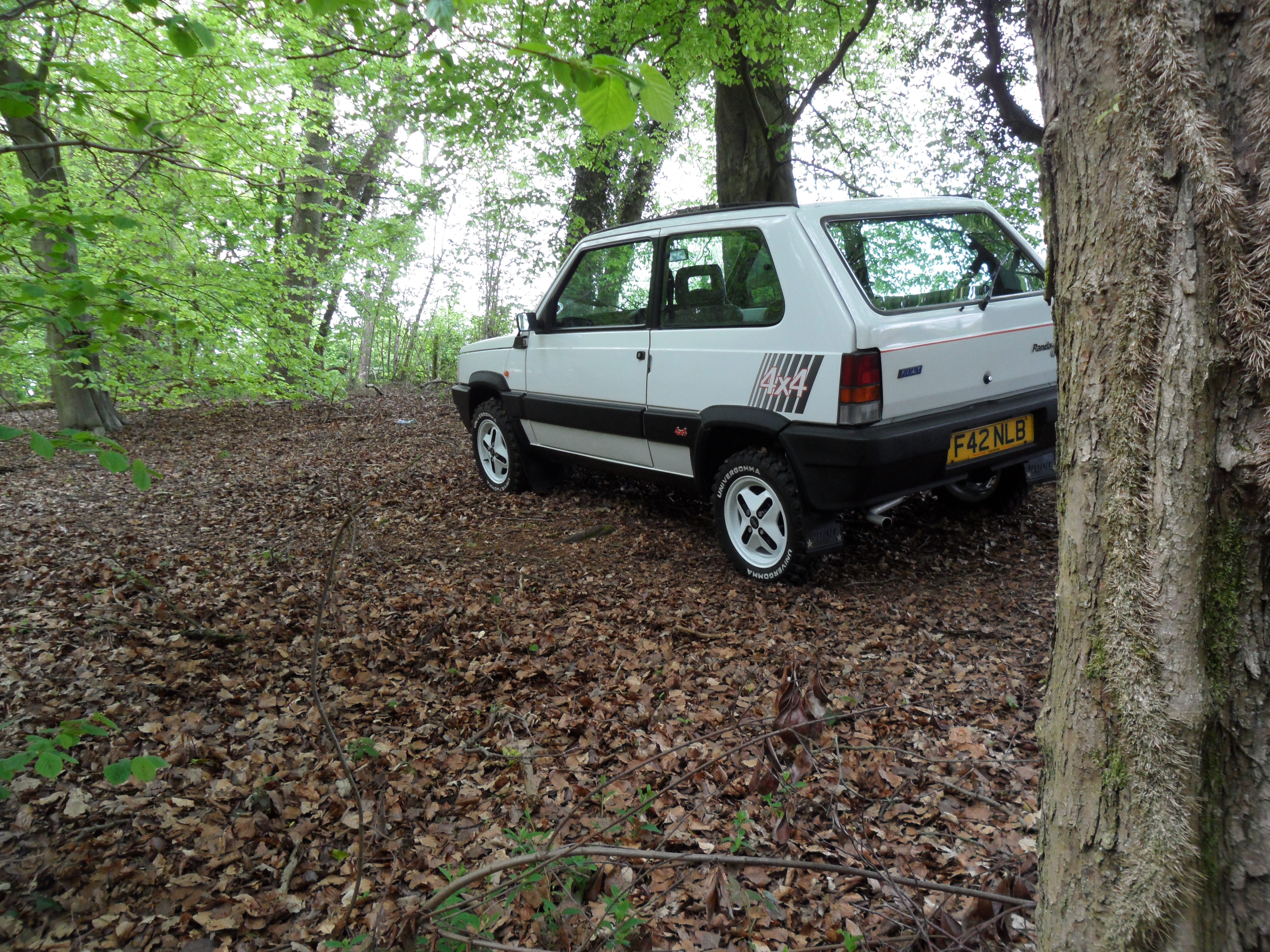My white Panda 4x4