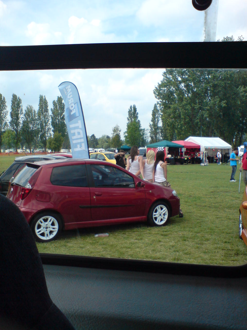 novel way to polish the bonnet!