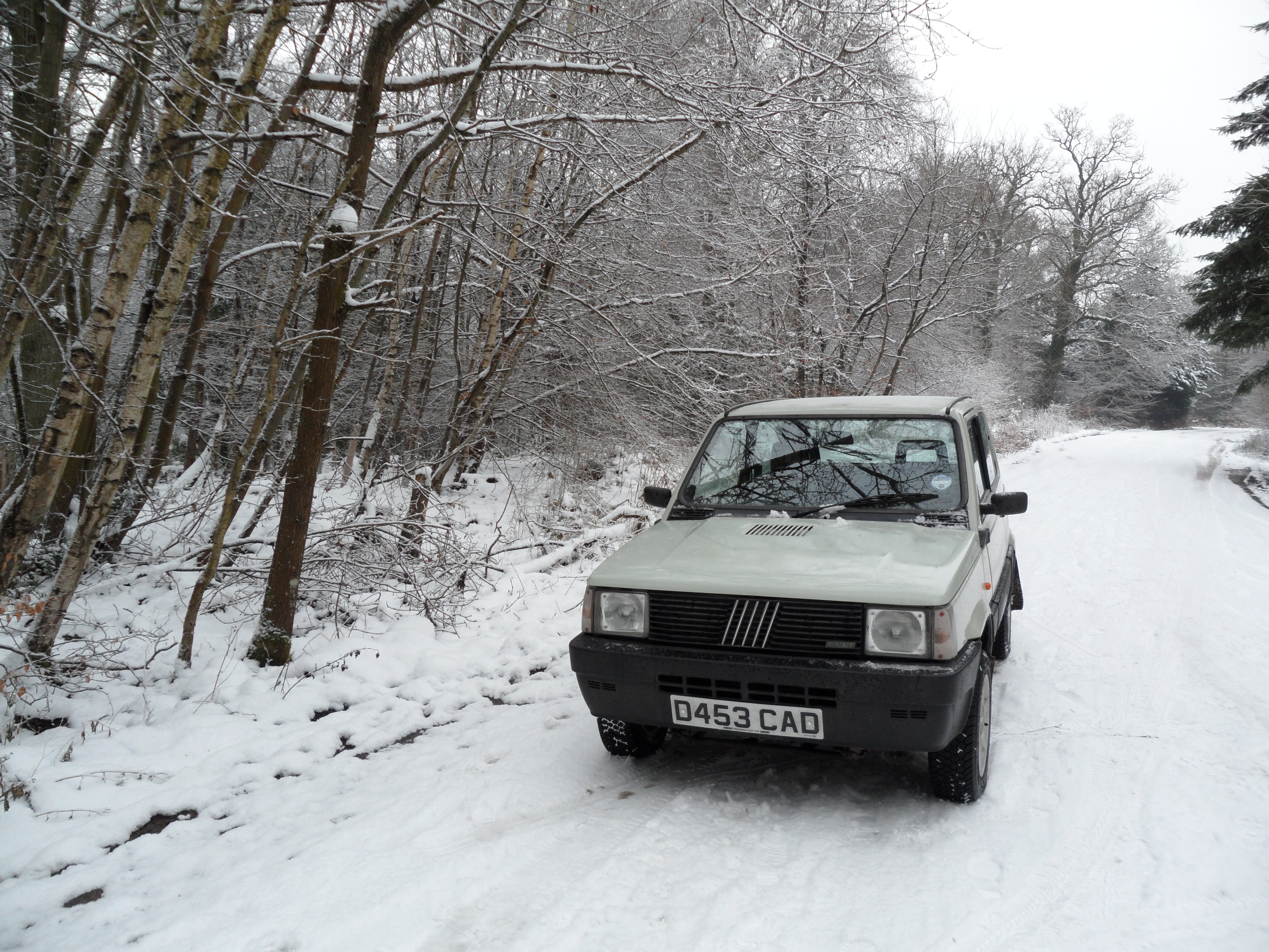 Oslo, Panda 4x4