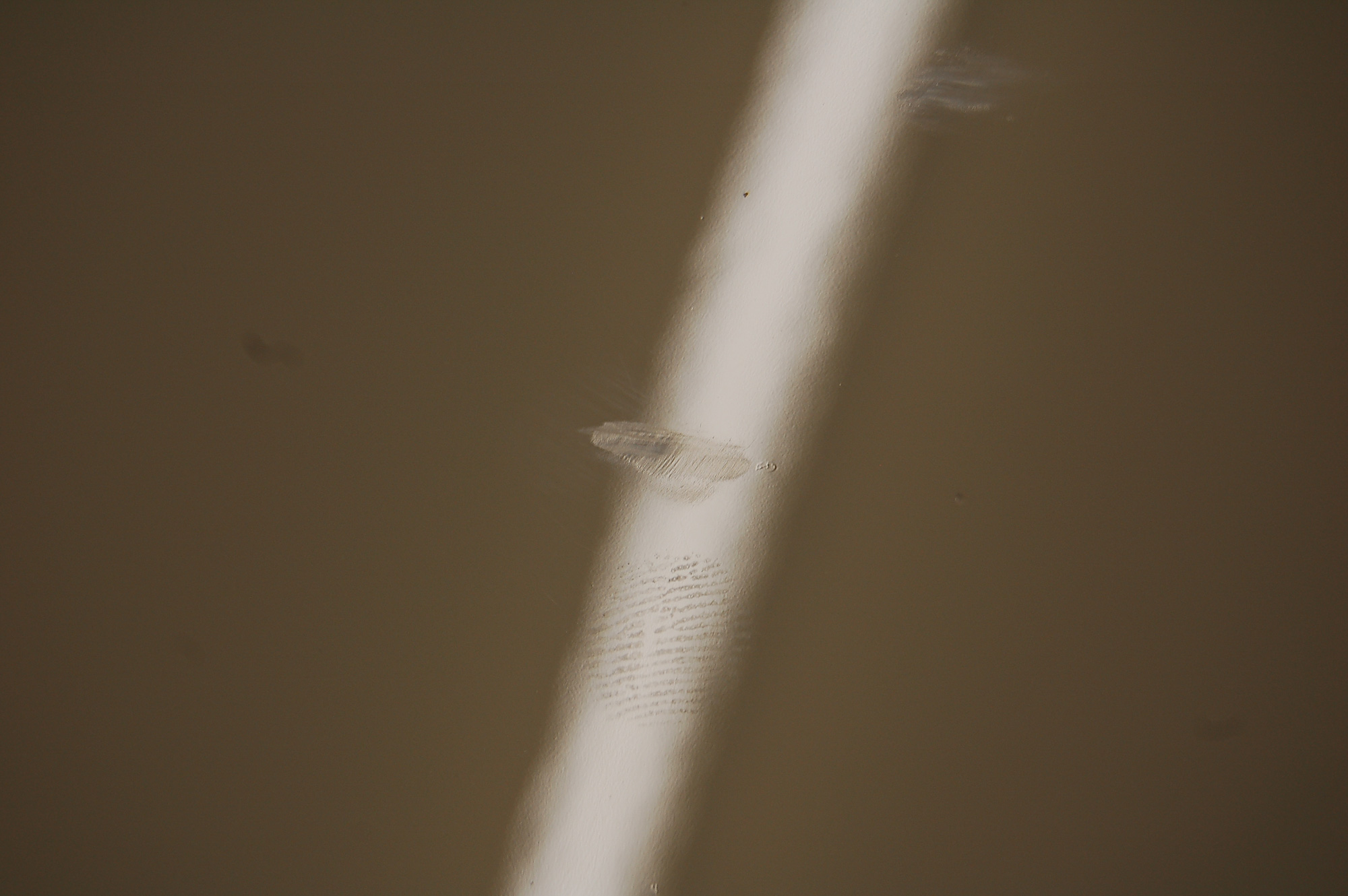 Paintwork 1
