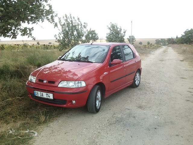 Palio Sporting Front View