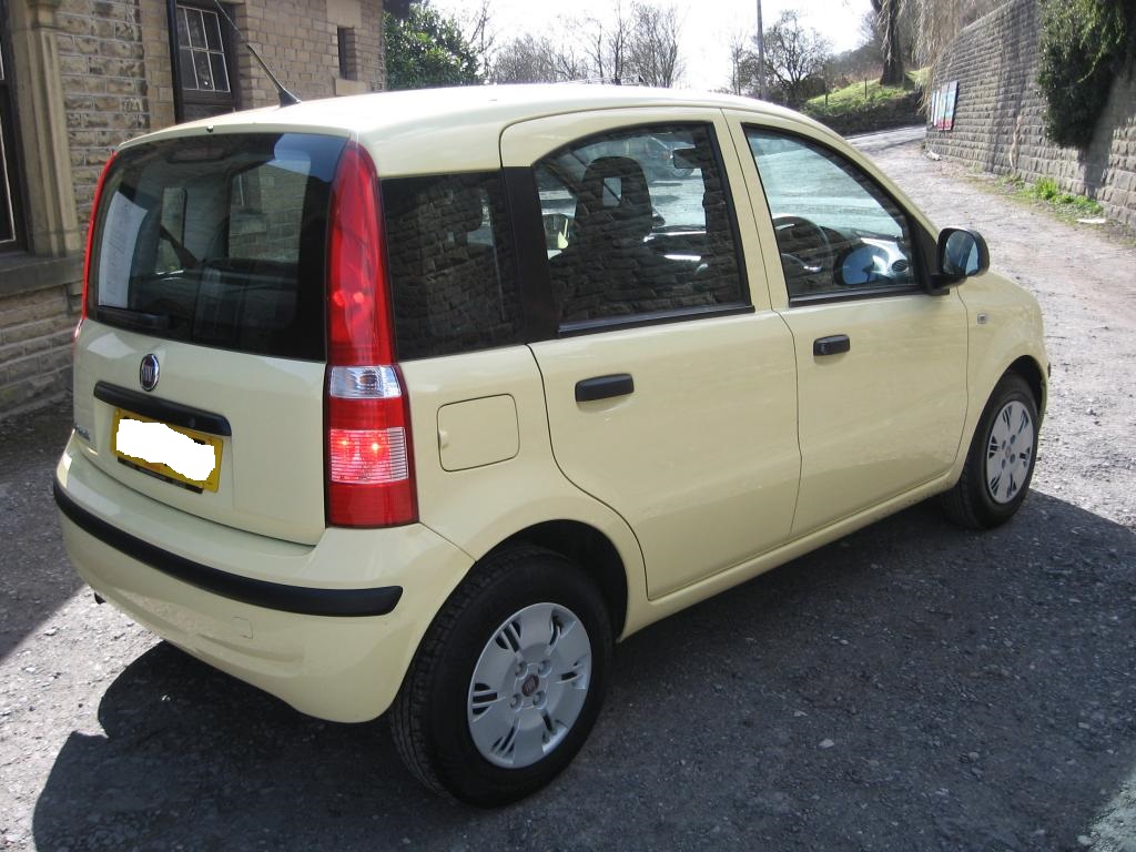 panda 1