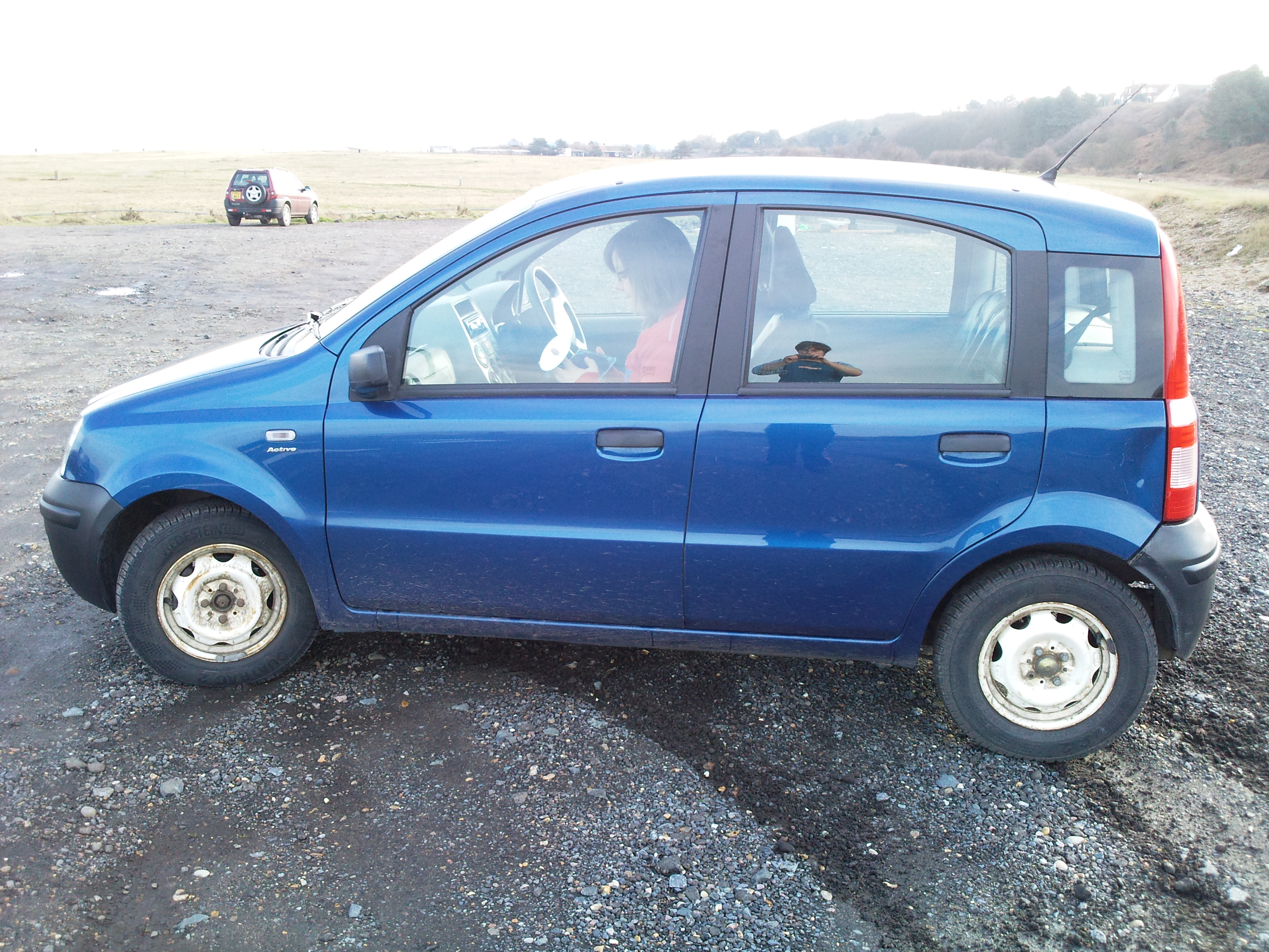 Panda on Lowestoft coast