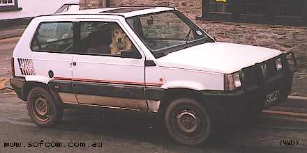 Panda1989