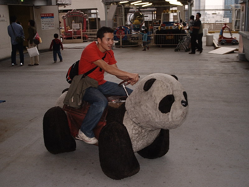 panda_2011