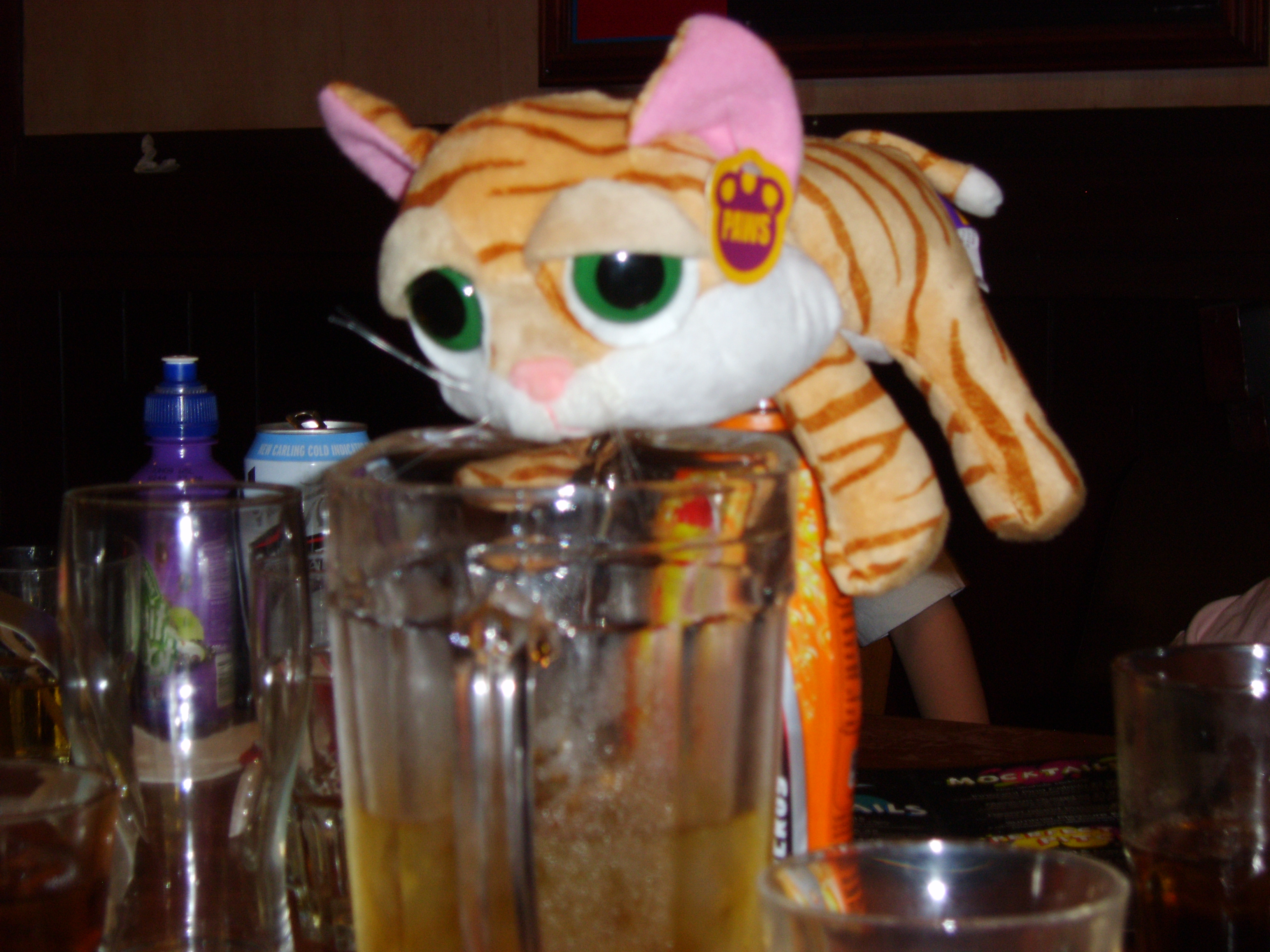 Picture_0381