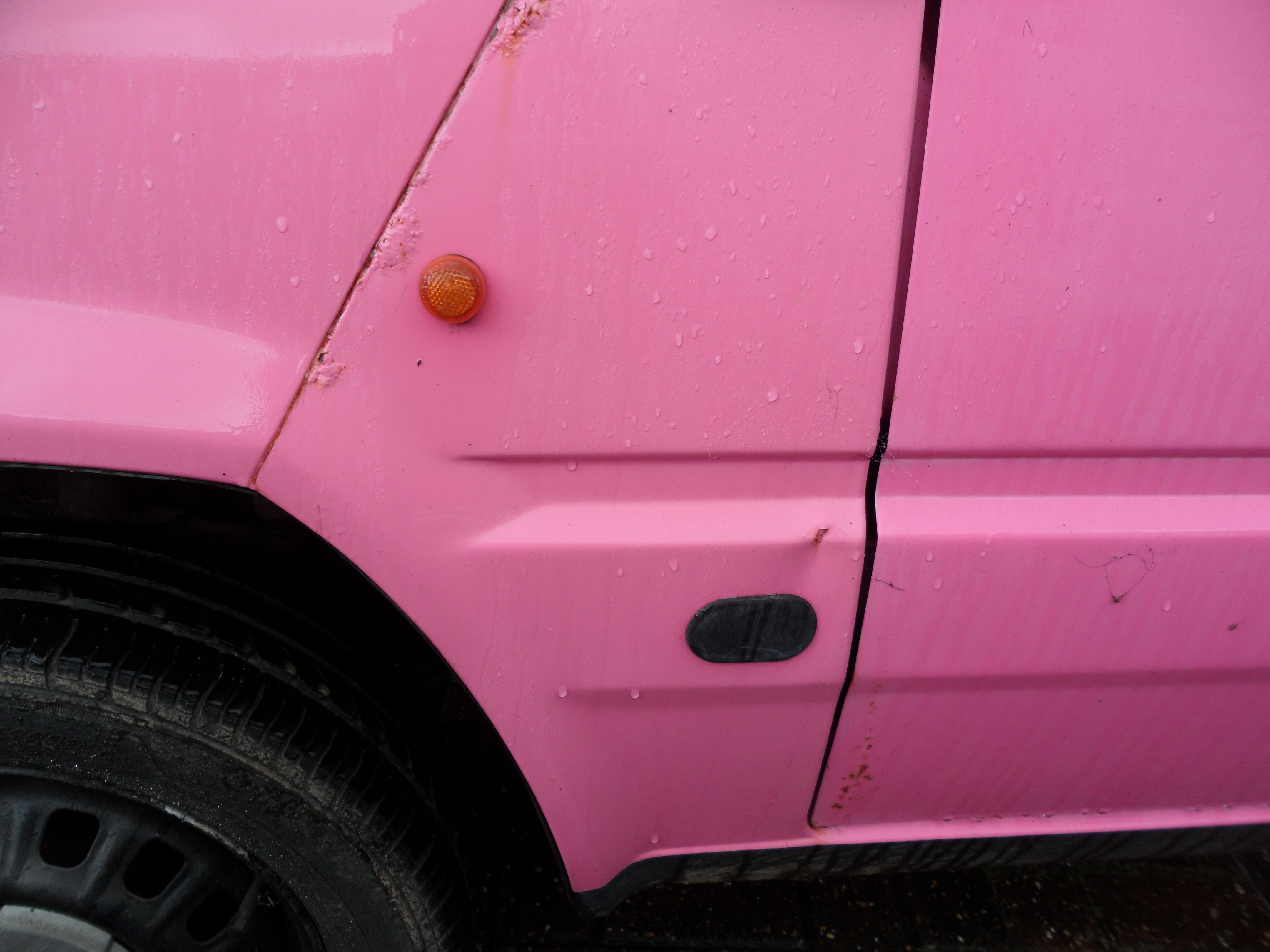 Pinky the Panda for charity.