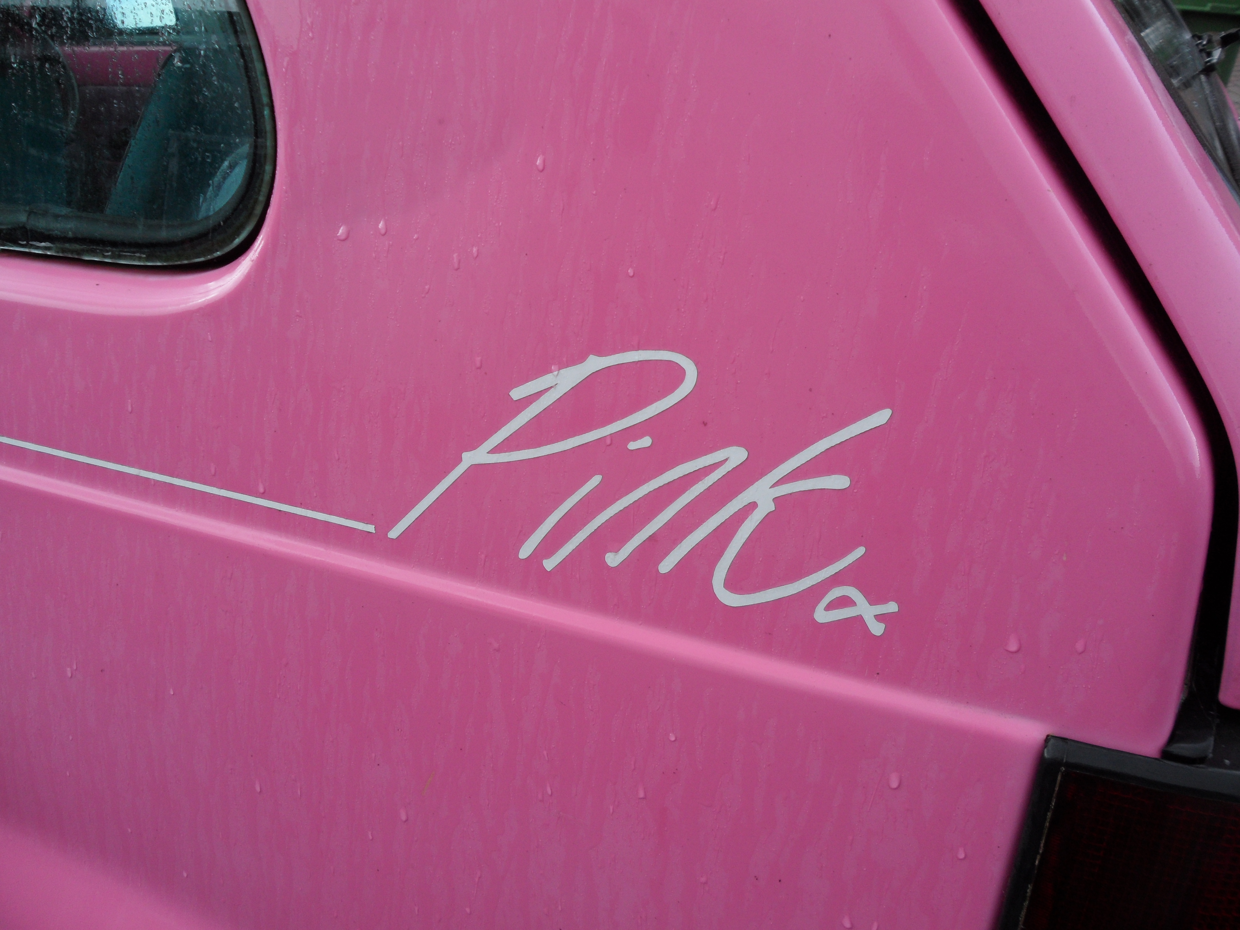 Pinky the Panda for charity.