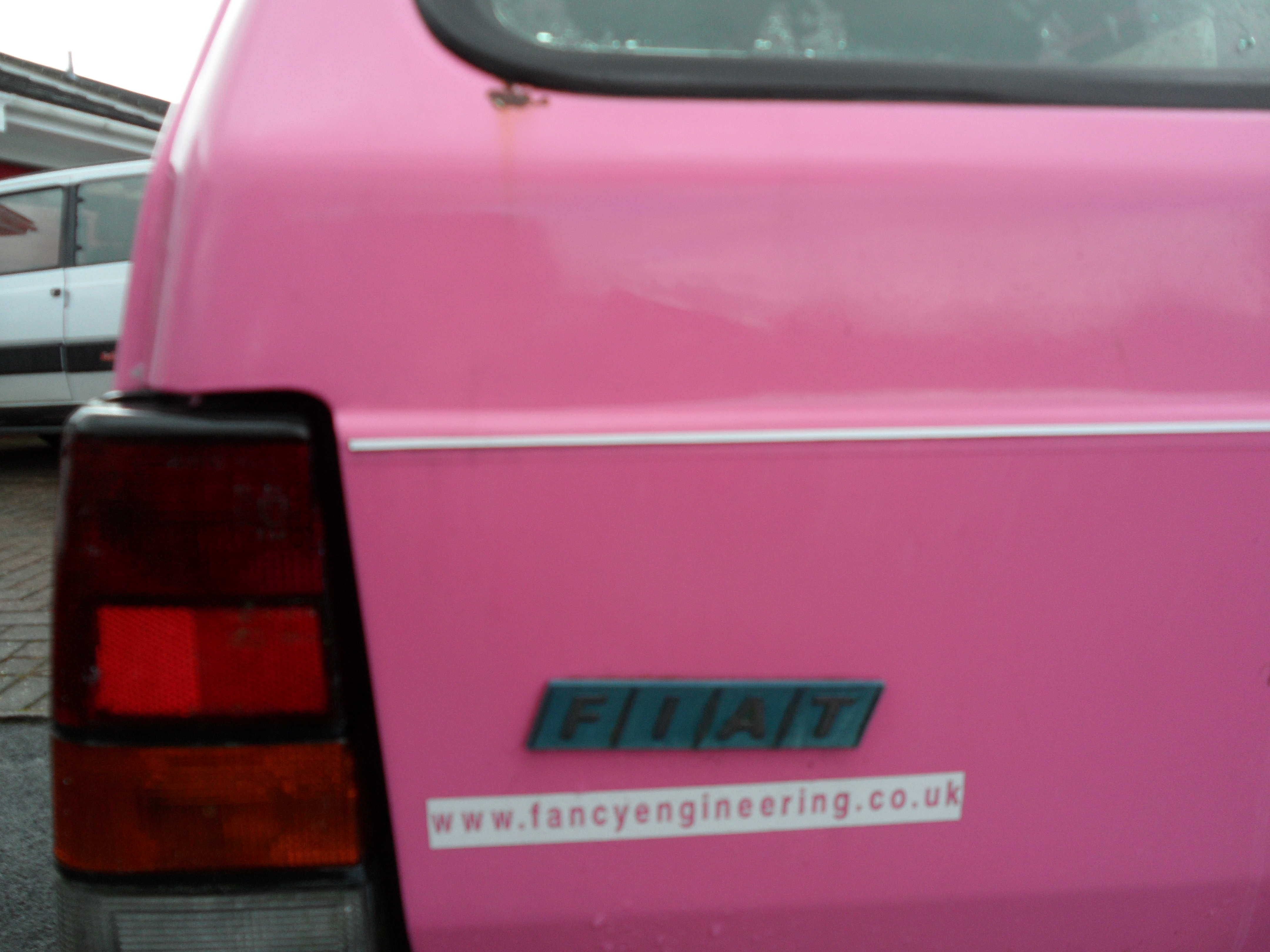 Pinky the Panda for charity.
