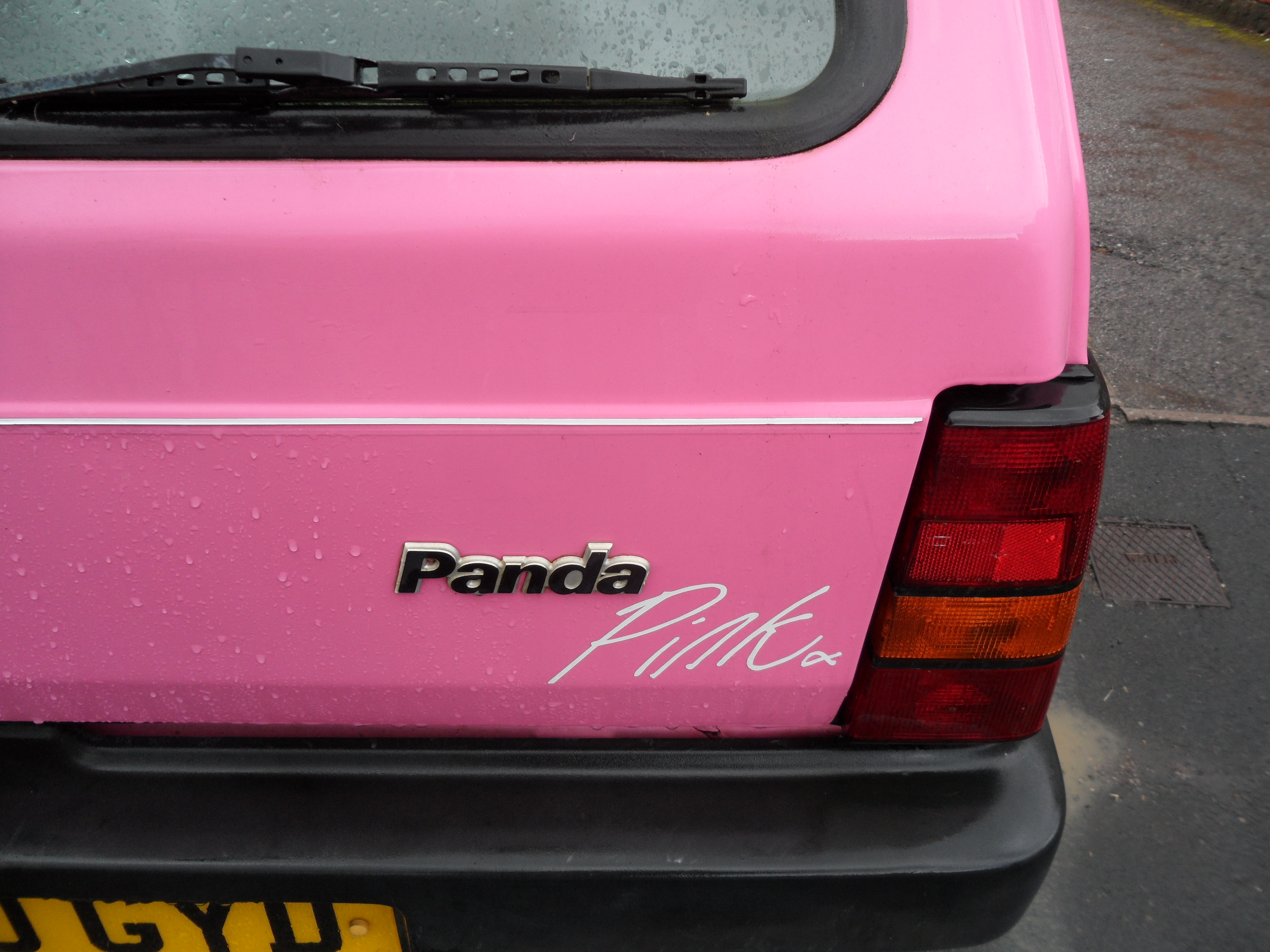 Pinky the Panda for charity.
