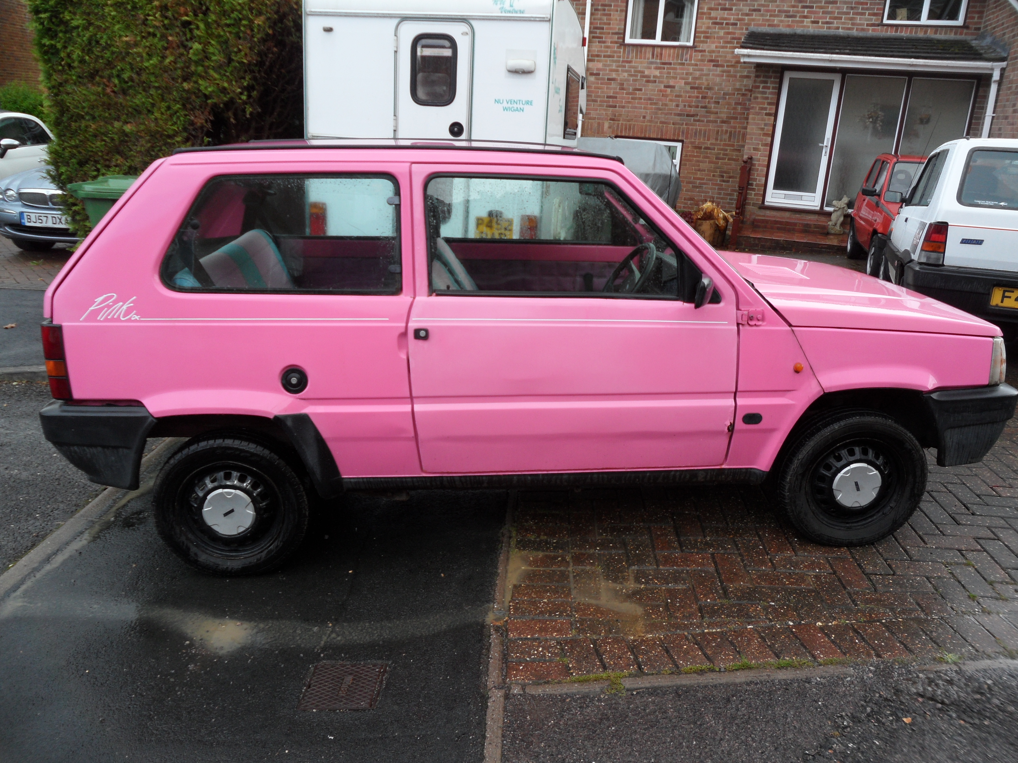 Pinky the Panda for charity.