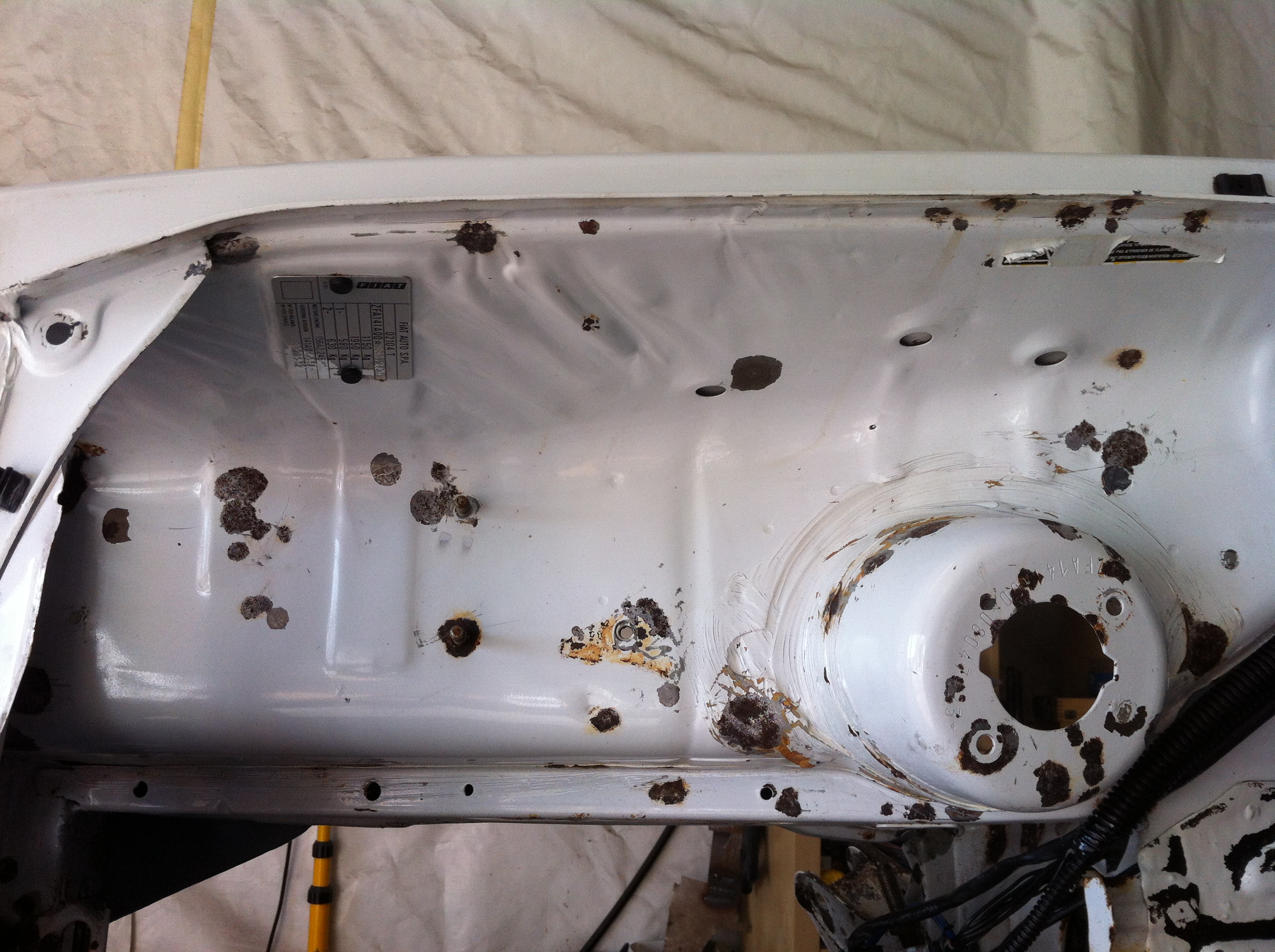 Project Panda looking Panda