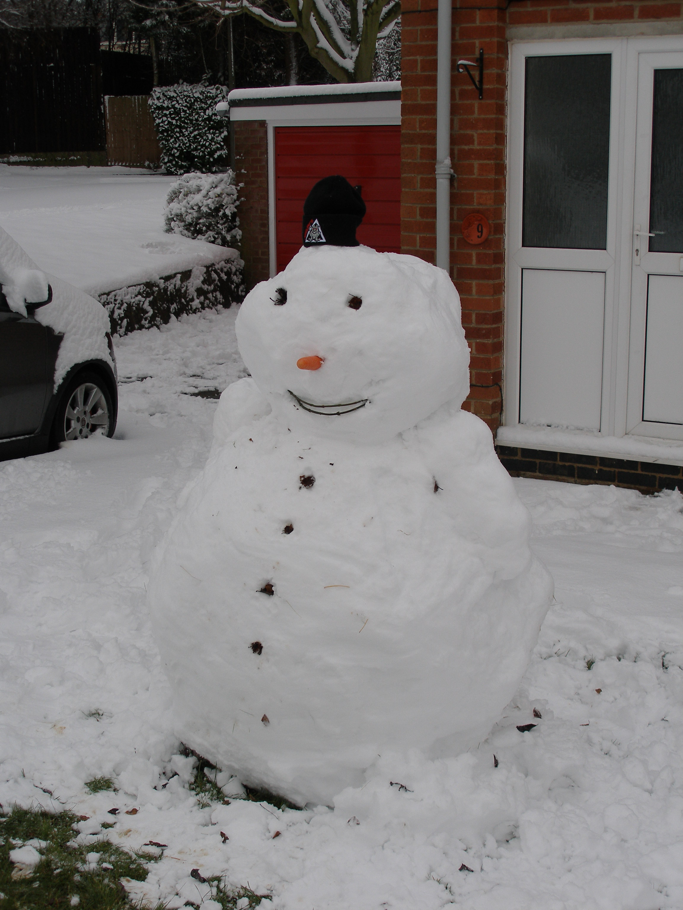 &quot;Snow Dave&quot;