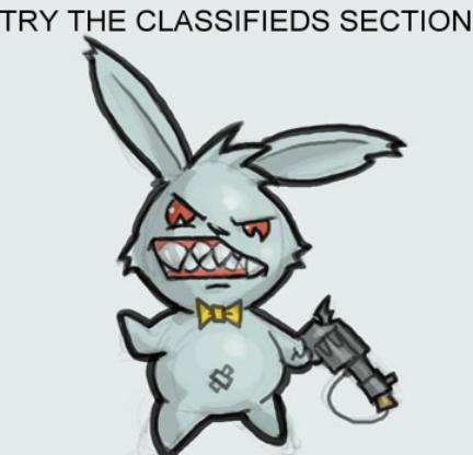 rabbit