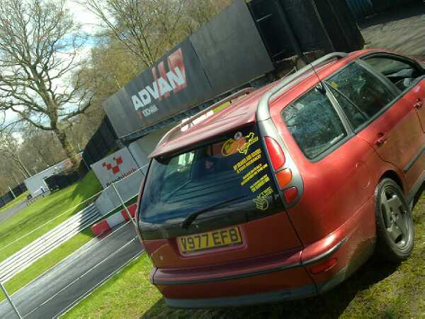 rear of car with decals
