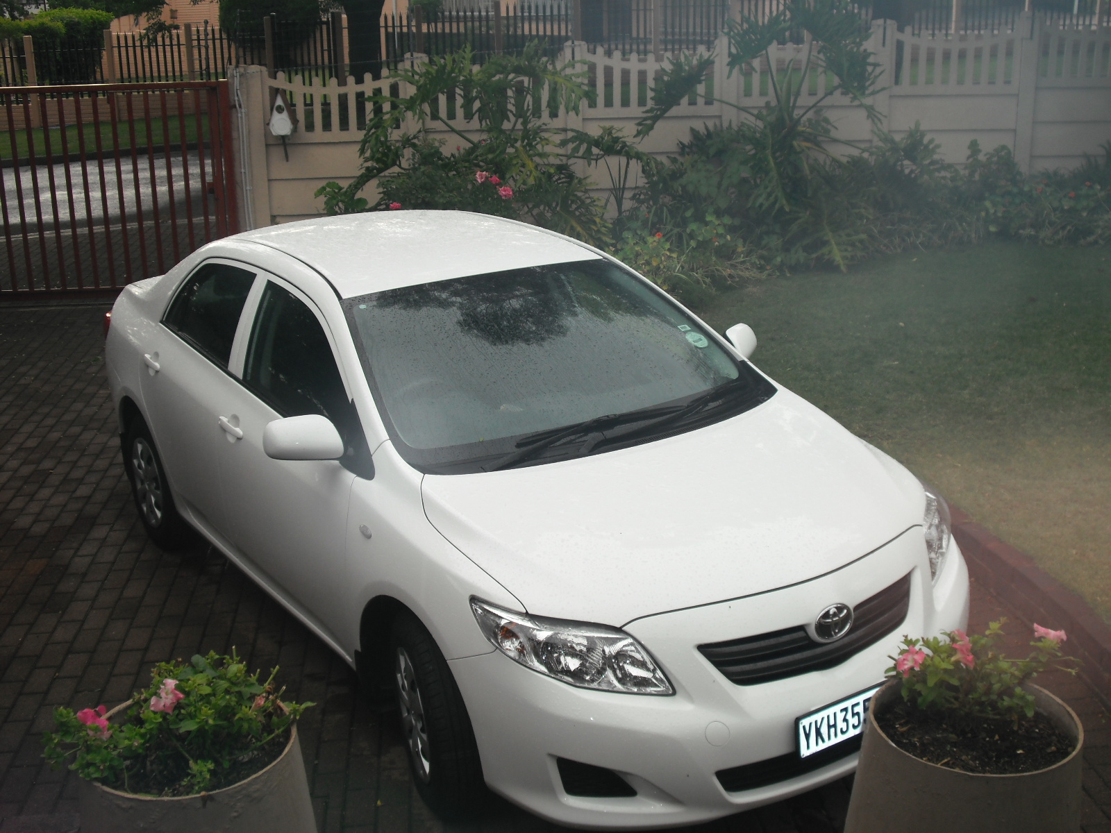 Rental Toyota
