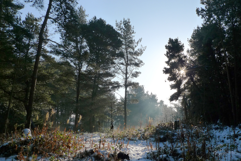 Snow