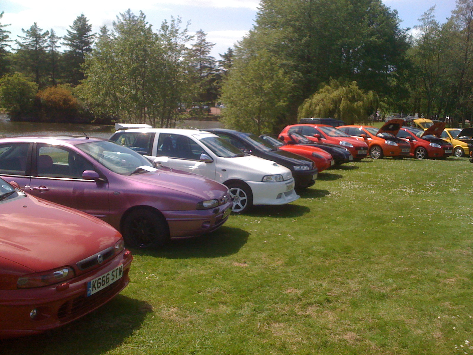 some of the gang