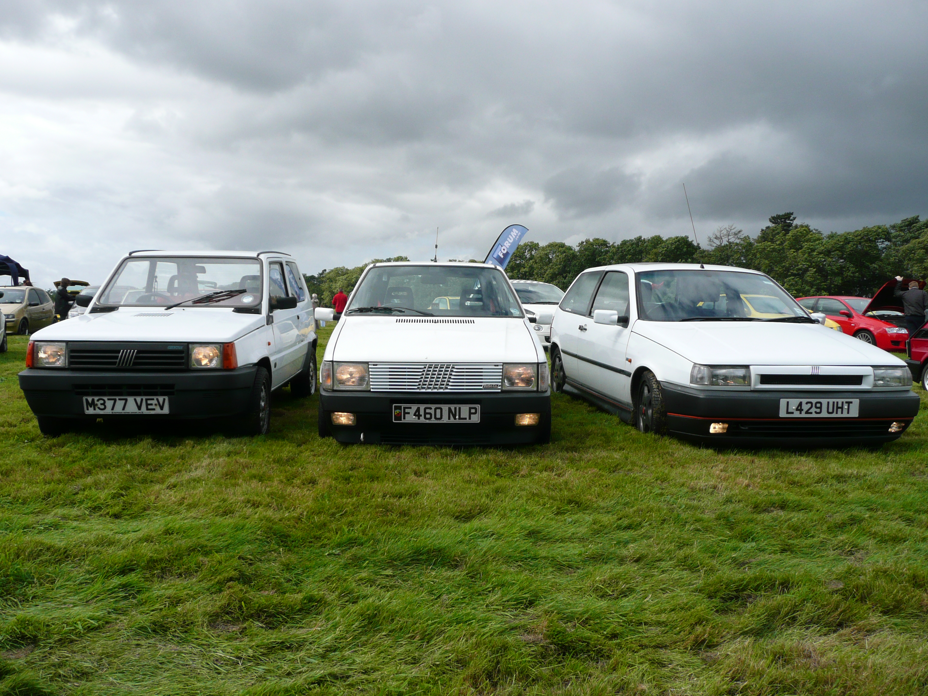 something_for_everyone_