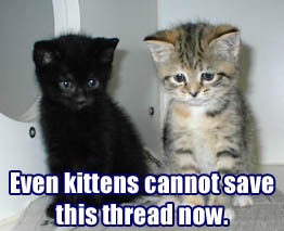 Thread-Cannot_be_saved_by_kittens