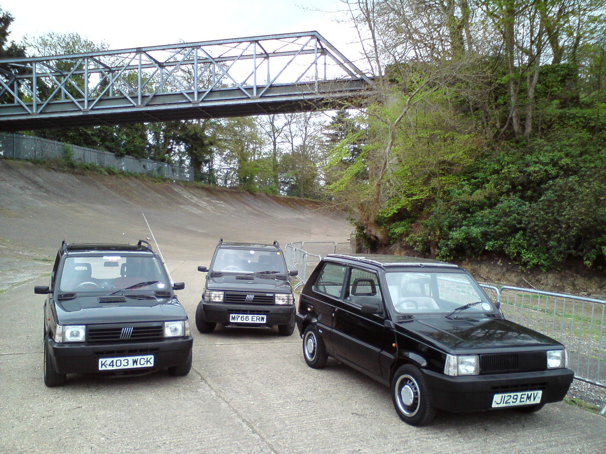 Three Black Pandas