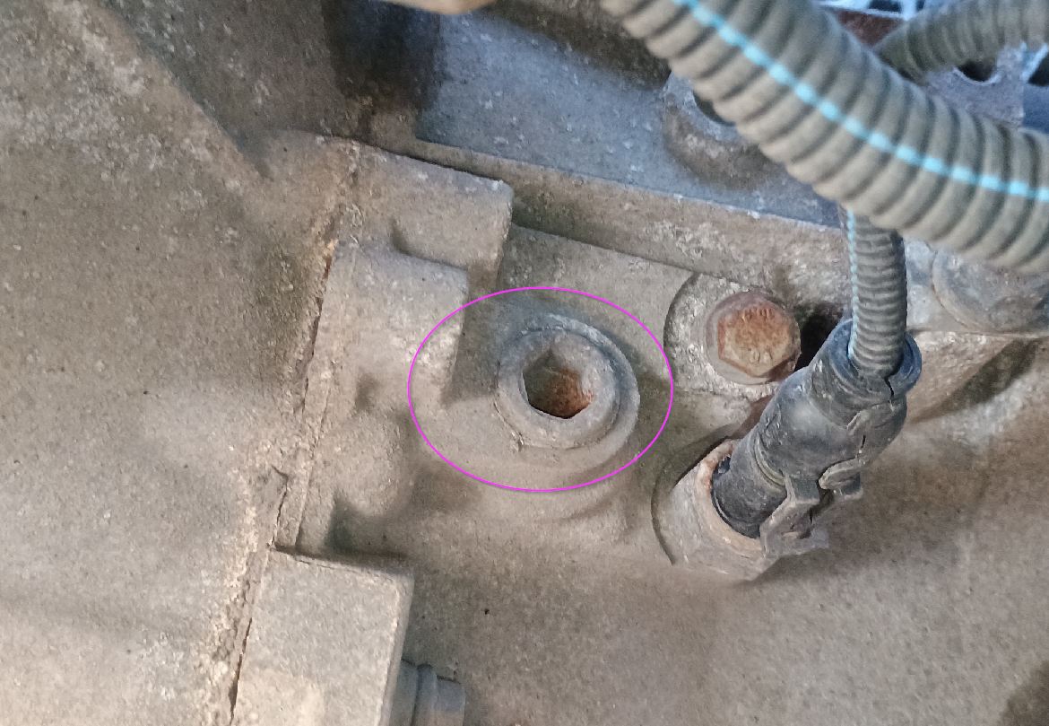 Tipo Filler Plug.jpg