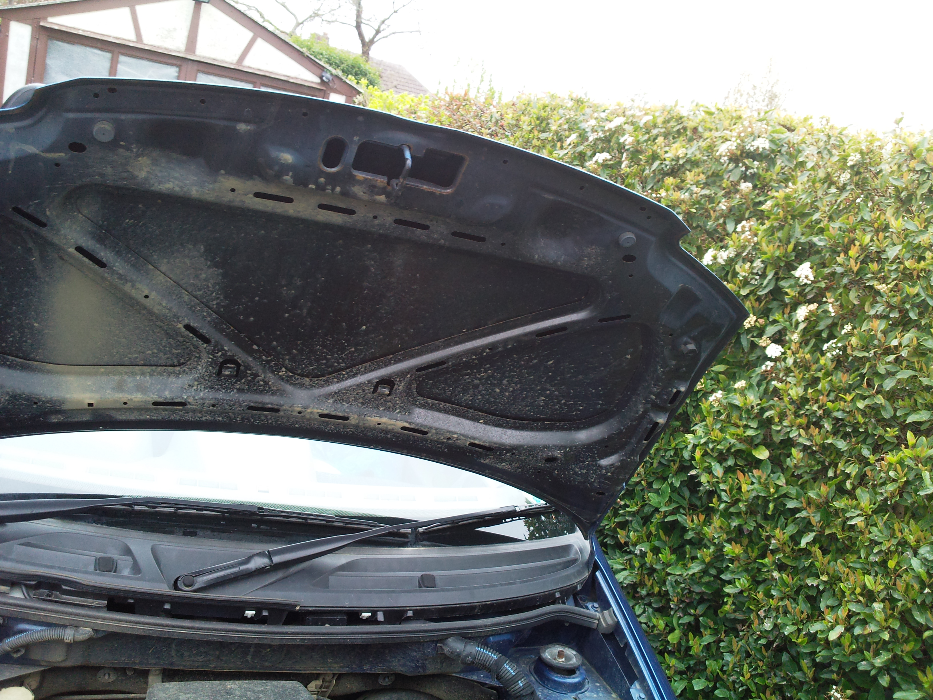 Under bonnet pics