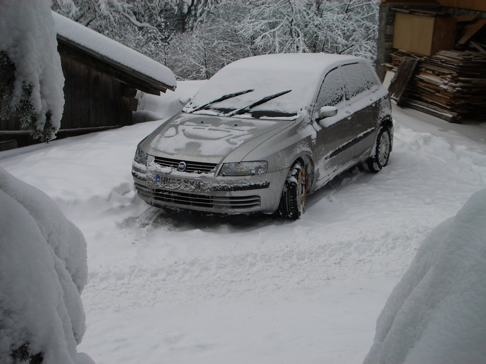 Visiting the Alps